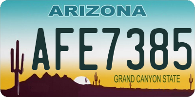 AZ license plate AFE7385