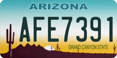 AZ license plate AFE7391