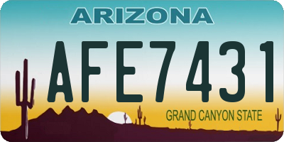 AZ license plate AFE7431