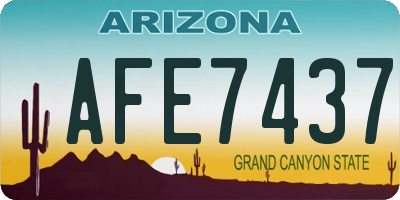 AZ license plate AFE7437