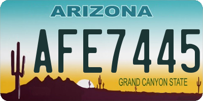AZ license plate AFE7445
