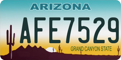 AZ license plate AFE7529