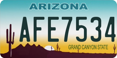AZ license plate AFE7534