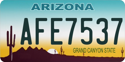 AZ license plate AFE7537