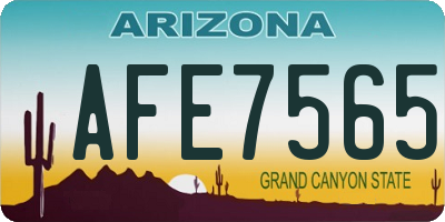 AZ license plate AFE7565