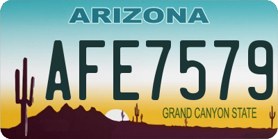 AZ license plate AFE7579
