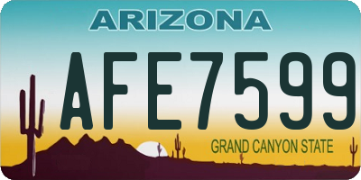 AZ license plate AFE7599