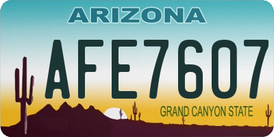 AZ license plate AFE7607