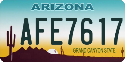 AZ license plate AFE7617