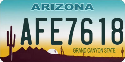 AZ license plate AFE7618