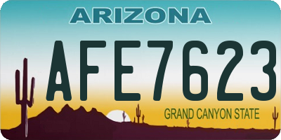 AZ license plate AFE7623