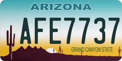 AZ license plate AFE7737
