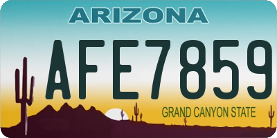 AZ license plate AFE7859