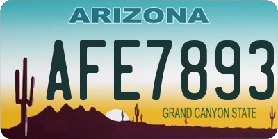 AZ license plate AFE7893