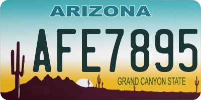 AZ license plate AFE7895