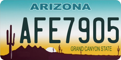 AZ license plate AFE7905