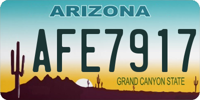 AZ license plate AFE7917