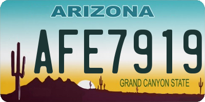AZ license plate AFE7919