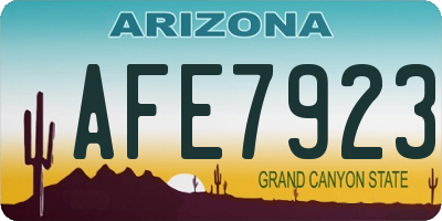 AZ license plate AFE7923