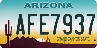 AZ license plate AFE7937