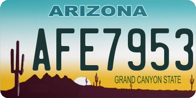 AZ license plate AFE7953