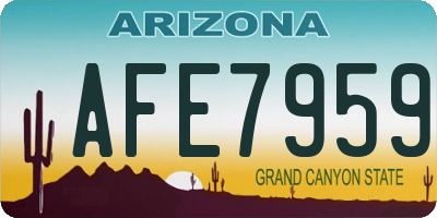 AZ license plate AFE7959