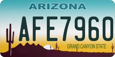 AZ license plate AFE7960