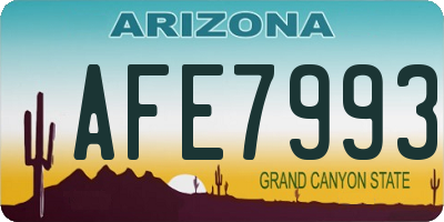 AZ license plate AFE7993