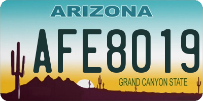 AZ license plate AFE8019