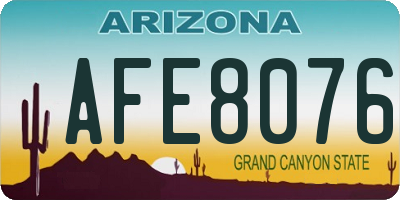 AZ license plate AFE8076