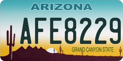 AZ license plate AFE8229