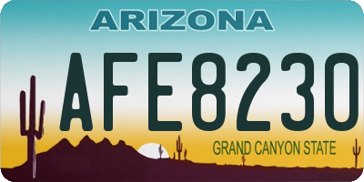 AZ license plate AFE8230