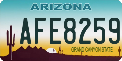 AZ license plate AFE8259