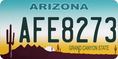 AZ license plate AFE8273