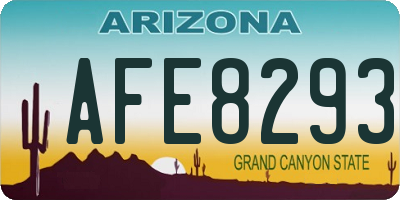AZ license plate AFE8293