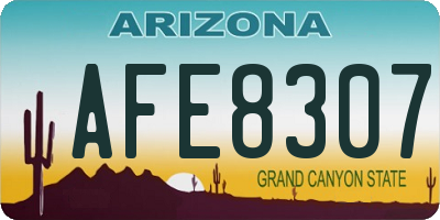 AZ license plate AFE8307