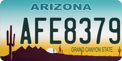 AZ license plate AFE8379