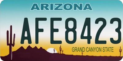 AZ license plate AFE8423