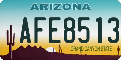 AZ license plate AFE8513
