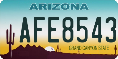 AZ license plate AFE8543