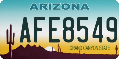 AZ license plate AFE8549