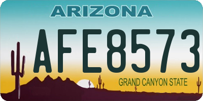 AZ license plate AFE8573