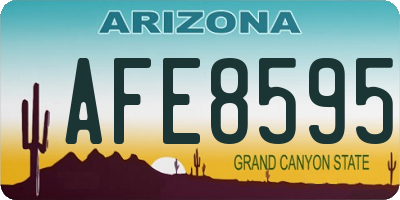 AZ license plate AFE8595