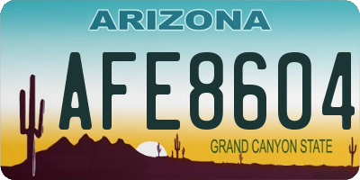 AZ license plate AFE8604