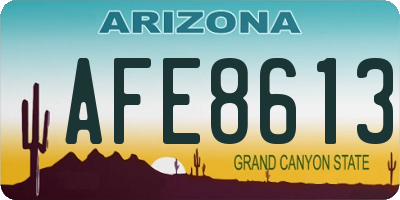 AZ license plate AFE8613