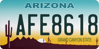 AZ license plate AFE8618