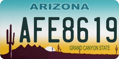 AZ license plate AFE8619