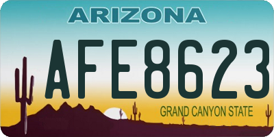 AZ license plate AFE8623