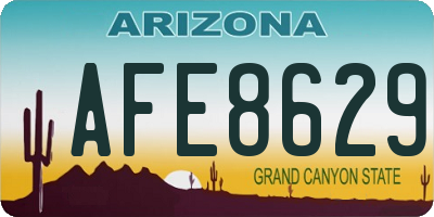 AZ license plate AFE8629