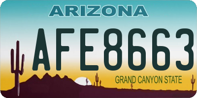 AZ license plate AFE8663